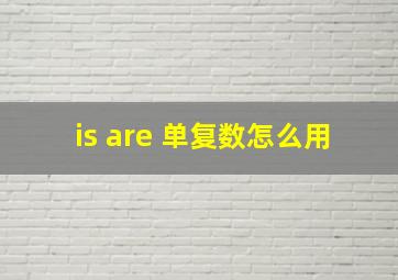 is are 单复数怎么用